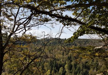 Trail Walking Charix - Tour du mont Burdet - Photo