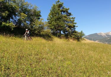Trail Mountain bike Thorame-Basse - Le Tour des Villages - Photo