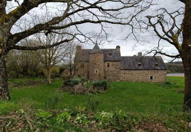 Trail Walking Bon Repos sur Blavet - mur de Bretagne  - Photo