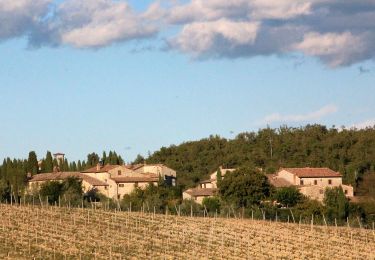 Percorso A piedi Gaiole in Chianti - Trekking tra i castelli 9 - Photo