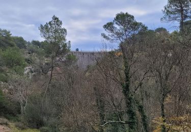 Tocht Stappen Le Tholonet - Le Tholonet les sentier meconnus - Photo