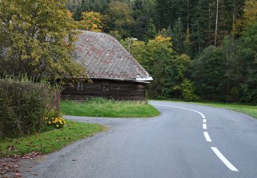 Excursión A pie Malá Bystřice - Santov - Na horách - Photo