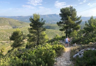 Tocht Noords wandelen Carnoux-en-Provence - Mn par la couette - Photo