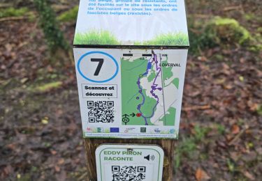 Trail Walking Ham-sur-Heure-Nalinnes - GR 129 Noirchien - N-D Loverval  - Photo