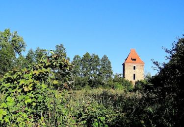 Tocht Te voet  - Szlak pieszy żółty - Photo