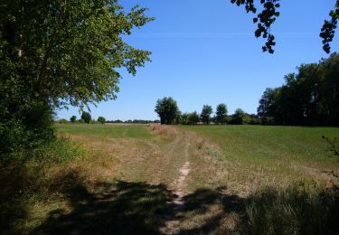 Tocht Stappen Pont-de-Ruan - Pont-de-Ruan - Couteau - 14.1km 120m 3h15 - 2022 07 08 - Photo