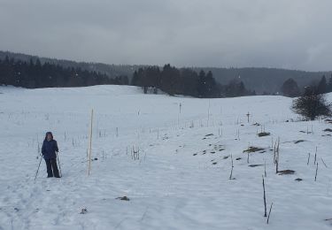 Excursión Senderismo Mijoux - balade jura - Photo