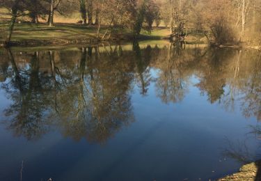 Tocht Stappen Ars-sur-Formans - Ars-s-formans (Cibeins) - Photo