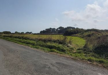 Tocht Stappen Penvénan - Port blanc - Pointe du Château  - Photo