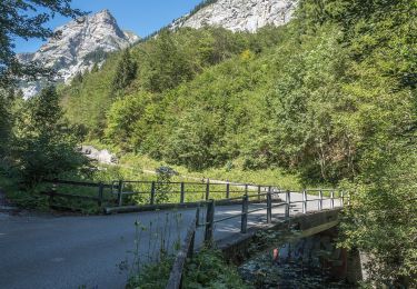 Tocht Te voet Pfäfers - Brugg-Staumauer Gigerwald - Photo