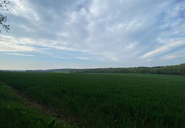 Tour Wandern Mettet - Tournibus étang du Diable - Photo