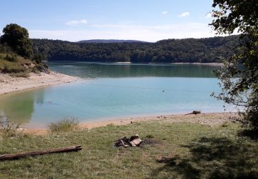 Tocht Stappen La Tour-du-Meix - Pont de la Pyle -plage de Bellecin  - Photo