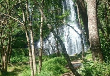 Trail Walking Solignac-sur-Loire - cascade de la beaume  haute loire - Photo