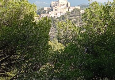 Tour Wandern Le Barroux - Le Barroux  les deux abbaye, aqueduc occulus du barroux - Photo