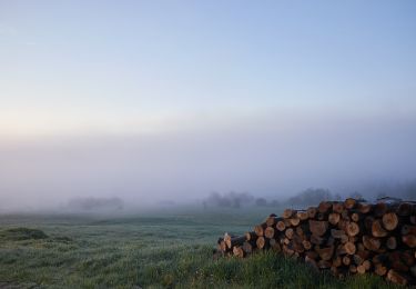 Tour Zu Fuß Tarnawa Niżna - Ścieżka przyrodniczo-historyczna 