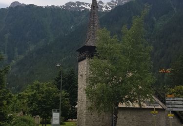 Tour Wandern Chamonix-Mont-Blanc - Les Praz de Chamonix à Chamonix gare - Photo