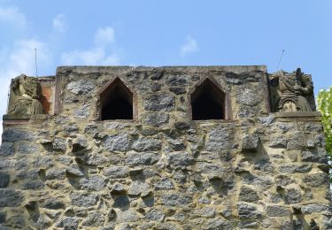 Randonnée A pied Birkenau - Rundwanderweg Nieder-Liebersbach 2: Balzenbach-Weg - Photo