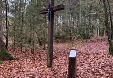 Tour Wandern Zillig - Chemin des croix - Photo