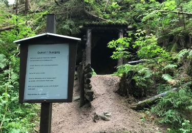 Randonnée A pied Eibenstock - Drei-Talsperren-Wanderung - Photo