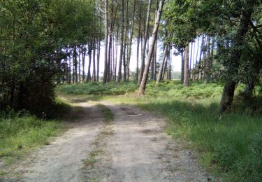 Trail Walking Moliets-et-Maâ - Moliets - Photo