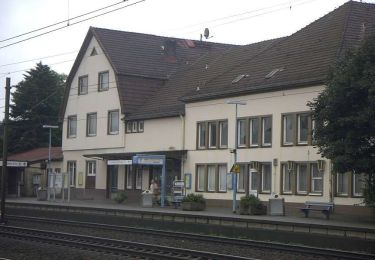 Tour Zu Fuß Rotenburg - Nordpfad 'Wümmeniederung' - Photo