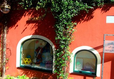 Randonnée A pied Camogli - Ruta - Pietre Strette - Olmi - Portofino - Photo