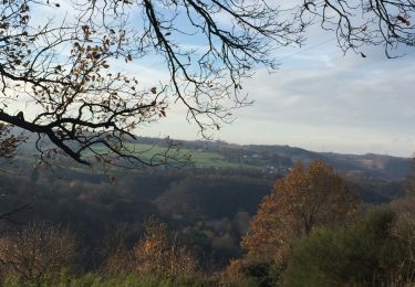 Tocht Stappen Olne - Balade losange vert de Trooz - Photo