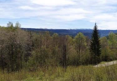 Tocht Stappen Leschères - Vichaumois-Valfin - Photo