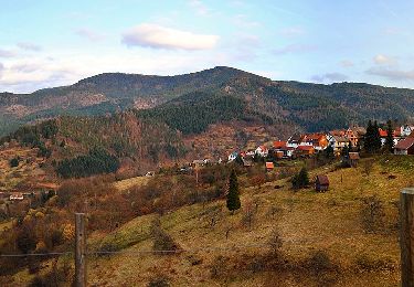 Percorso A piedi Forbach - Glücksweg - Photo