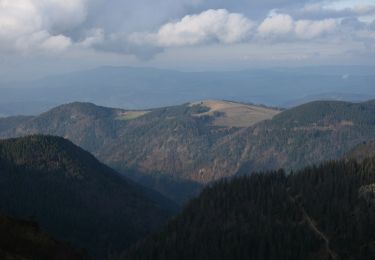 Trail On foot Feldberg - Feldbergsteig - Photo