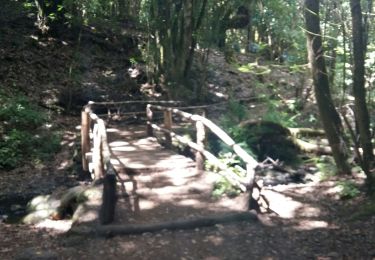 Tocht Stappen Hermigua - La Gomera - El Cedro - Ermita de Lourdes 9/5/2019 - Photo