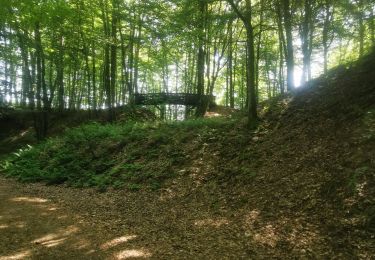 Trail Walking Renauvoid - marche - Photo