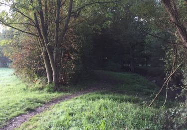 Tocht Stappen Pacé - Pacé La Foucherais variante  - Photo