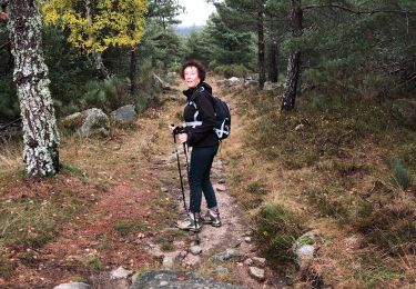 Trail Walking Pont de Montvert - Sud Mont Lozère - Masméjean / le pont du Tarn - Photo