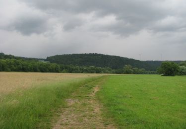 Tocht Te voet Onbekend - Quellbergweg - Photo