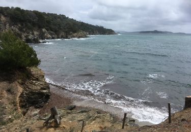 Percorso Marcia Hyères - Presqu’île de Giens - Photo