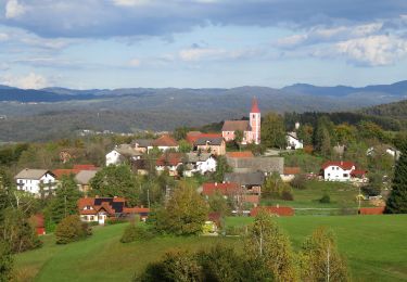 Excursión A pie Ig - Gozdna učna pot Draga pri Igu - Photo