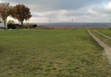 Tocht Stappen Chevannes - Chevannes - Photo