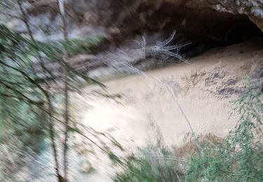 Trail Walking Oyonnax - Grotte de Lordon - Photo