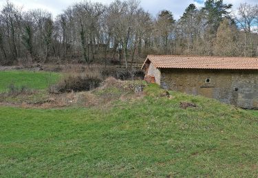 Tour Zu Fuß Thuilley-aux-Groseilles - Circuit du Bois de Feys - Photo