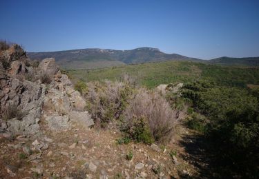 Excursión Senderismo Saint-Privat - Mas d'Albert  - Photo