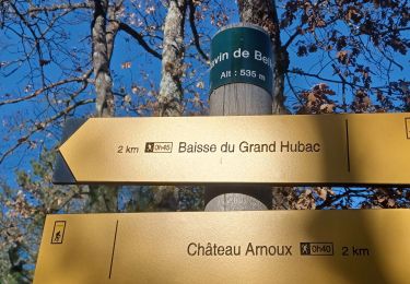 Trail Walking Château-Arnoux-Saint-Auban - CHATEAU ARNOUX . LES 3 PONTS . LE BELLON . LES CRETES . O L - Photo