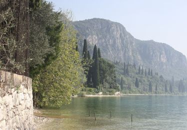 Randonnée A pied Torri del Benaco - Punta San Vigilio - Crero - Photo