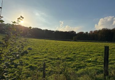 Tour Wandern Bertem - Speelbos - Photo