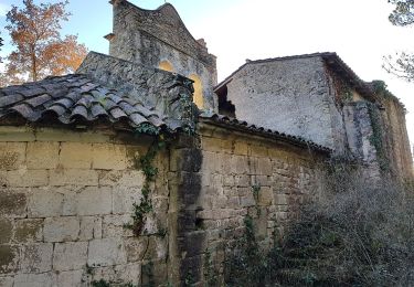 Randonnée A pied Sant Miquel de Campmajor - Ruta del veïnat de Roca i Briolf - Photo