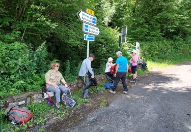 Excursión Senderismo Lestelle-Bétharram - Lestelle-Bétharram G4 FAIT  - Photo