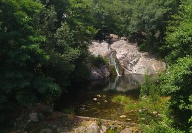 Tour Wandern Colombières-sur-Orb - 34 colombier sur orb - Photo