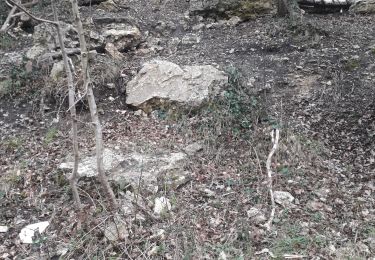 Tour Zu Fuß Petit-Couronne - Petit-Couronne. Vers le puits Hébert pour le printemps.  - Photo