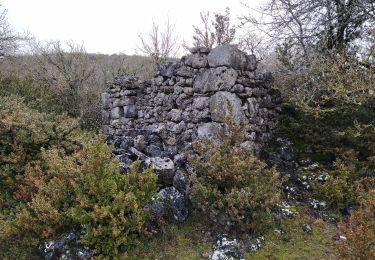 Tour Wandern Sainte-Eulalie-de-Cernon - boîtes jaunes - Photo