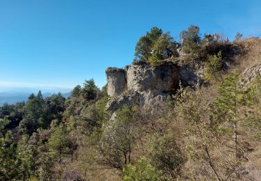 Tocht Stappen Arboras - arboras arsel - Photo